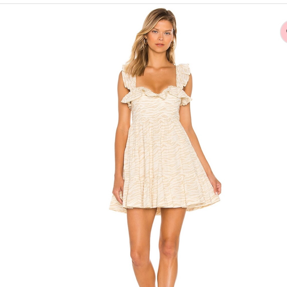 Tularosa Sara Mini Dress in Gianni Zebra Size Small